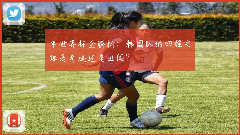 年世界杯全解析：韩国队的四强之路是奇迹还是丑闻？