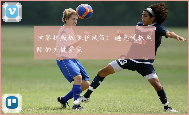 世界杯版权保护政策：避免侵权风险的关键要点