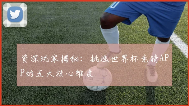 资深玩家揭秘：挑选世界杯竞猜APP的五大核心维度