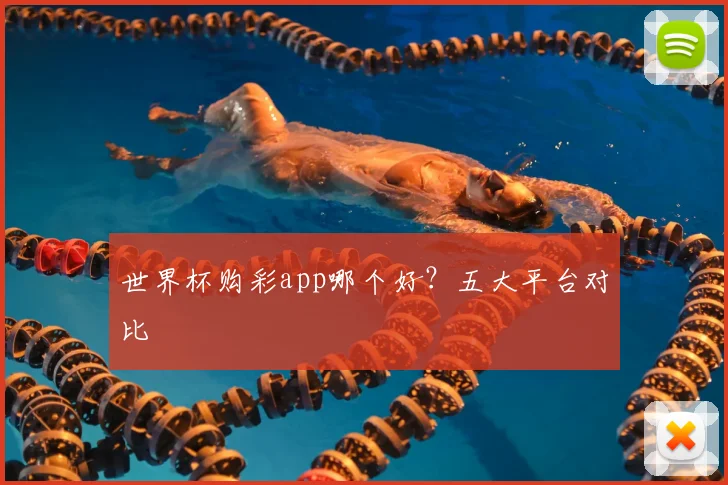 世界杯购彩app哪个好?五大平台对比