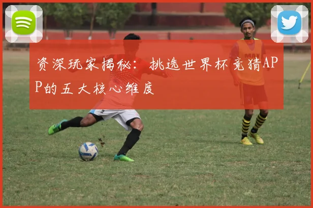 资深玩家揭秘:挑选世界杯竞猜APP的五大核心维度