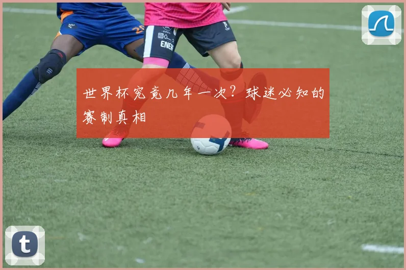 世界杯究竟几年一次？球迷必知的赛制真相