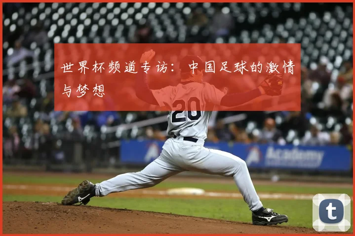 世界杯频道专访:中国足球的激情与梦想