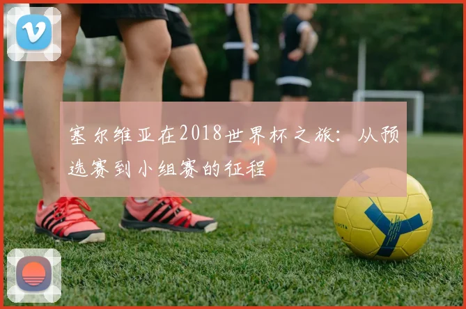 塞尔维亚在2018世界杯之旅:从预选赛到小组赛的征程