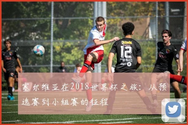 塞尔维亚在2018世界杯之旅:从预选赛到小组赛的征程