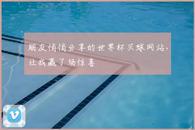 朋友悄悄分享的世界杯买球网站，让我赢了场惊喜