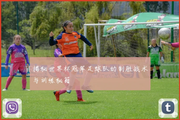 揭秘世界杯冠军足球队的制胜战术与训练秘籍